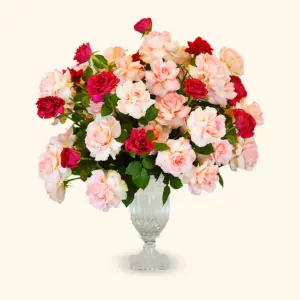 Garden of Grace