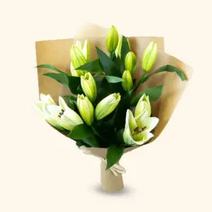 Lily Dewlight