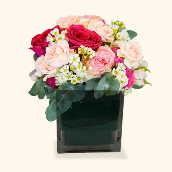 Soft Blush Kiss