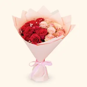 Blush Bloom Delight