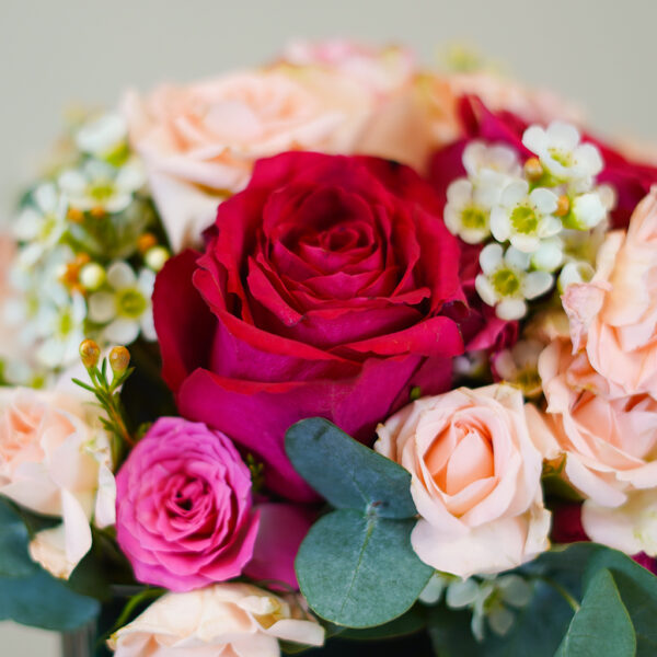 Soft Blush Kiss - Image 4