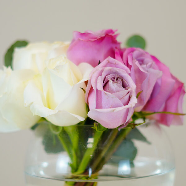 Lavender Whisper - Image 4