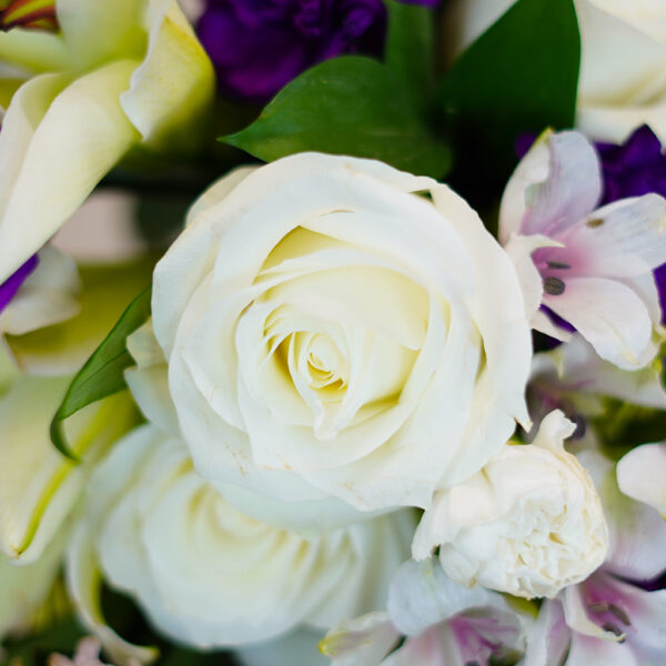 Moonlight Blooming - Image 4