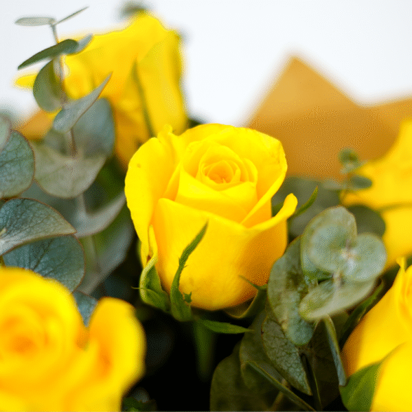 Sunshine Simplicity - Image 4