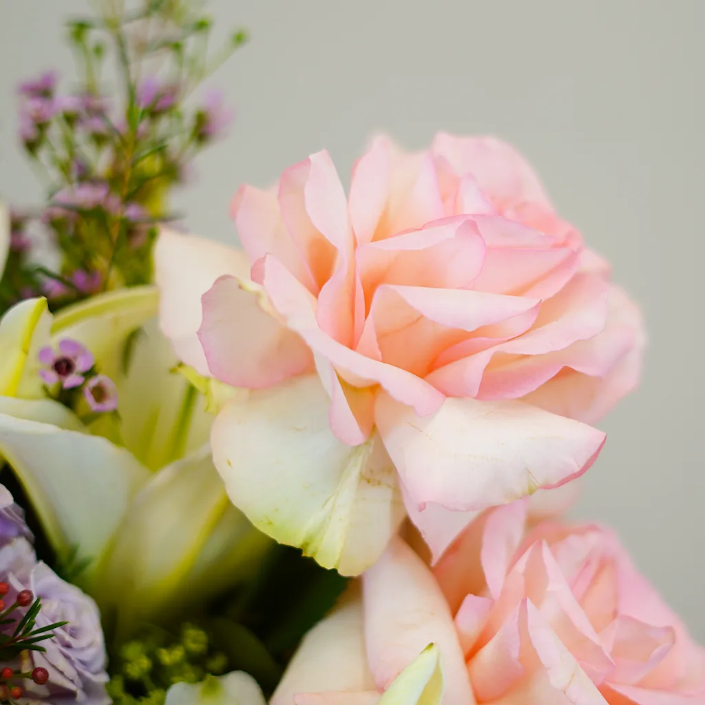 Pink Blossom Harmony - Image 4