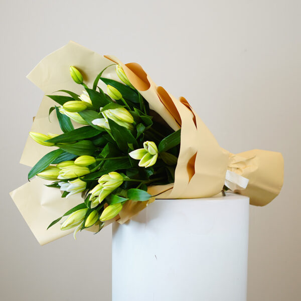Whispering Lilies - Image 3