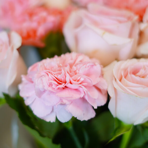Pink Carnation Charm - Image 4