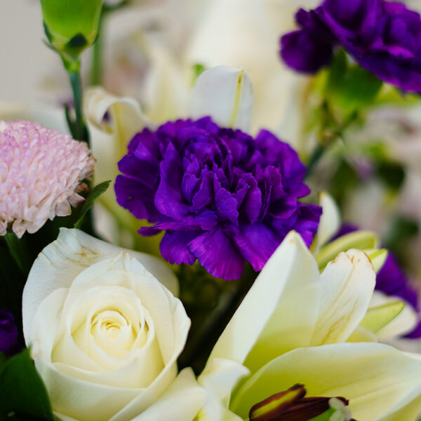 Moonlight Blooming - Image 3
