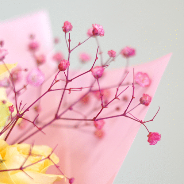 Peach Petal Whimsy - Image 3
