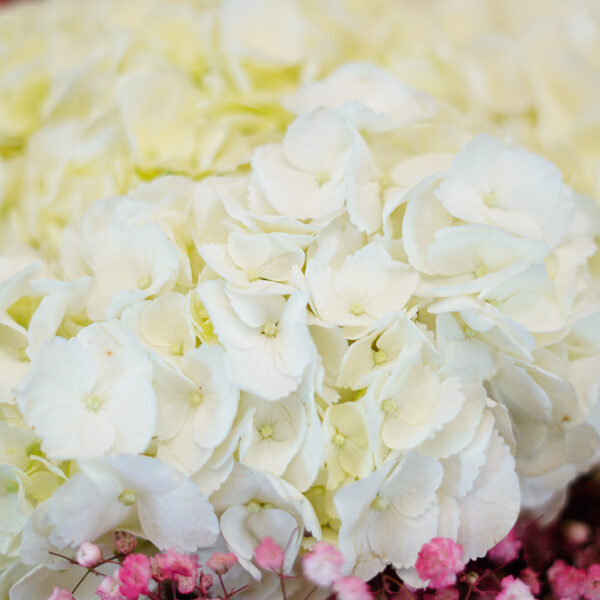 Cloud Petal Charm - Image 3
