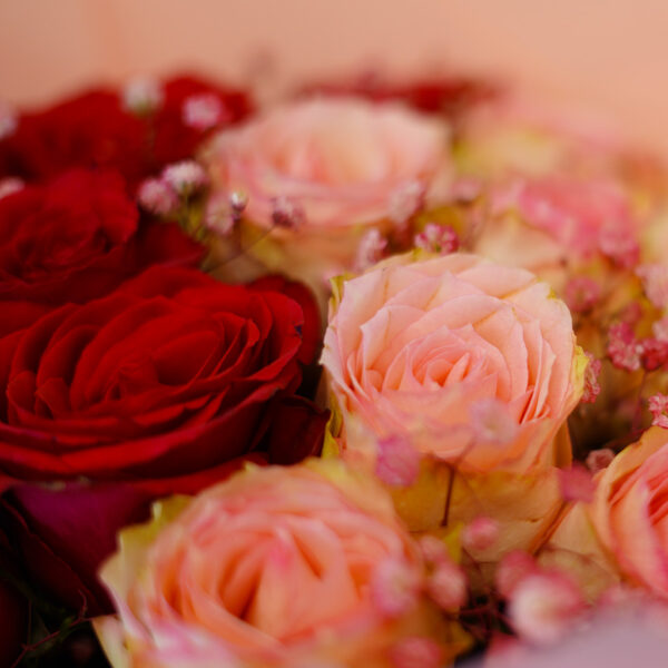 Blush Bloom Delight - Image 3