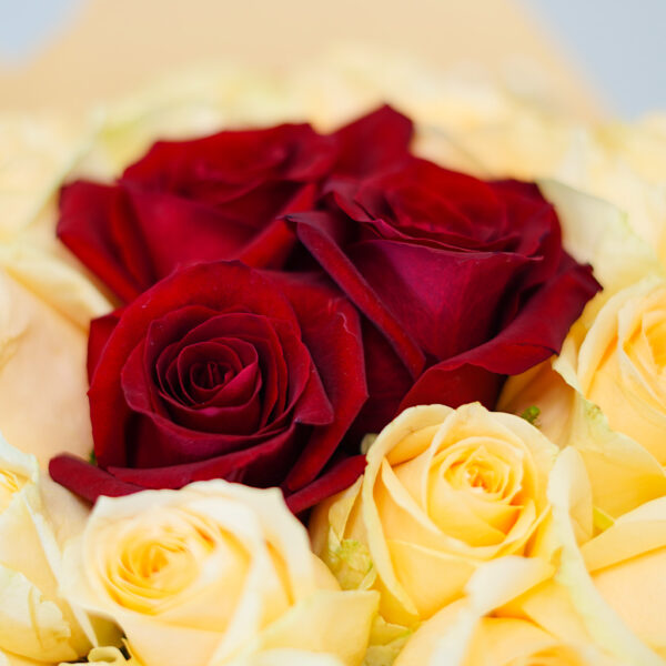 Peachy Romance - Image 3