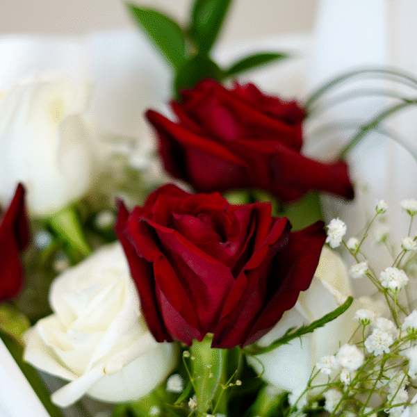 Classic Affection - Image 3