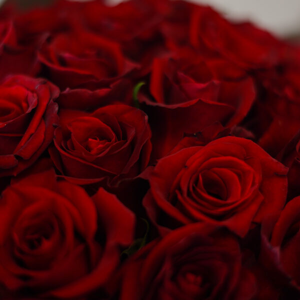 Eternal Passion - Image 3