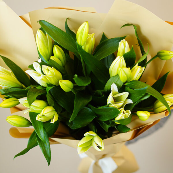 Whispering Lilies - Image 5