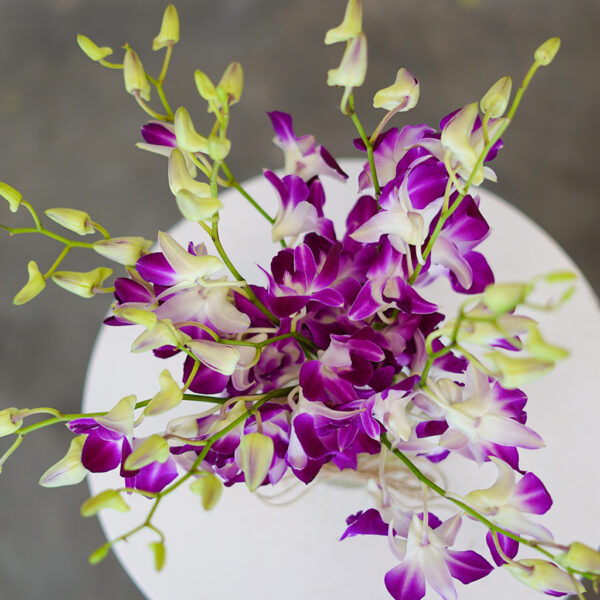 Purple Orchid Grace - Image 2