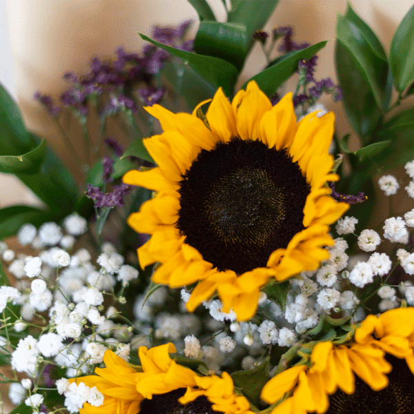 Sunny Days Cheer - Image 3