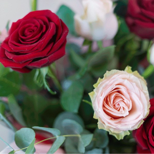 Blush & Bloom - Image 2