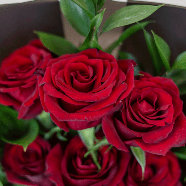 Midnight Rose Touch - Image 2