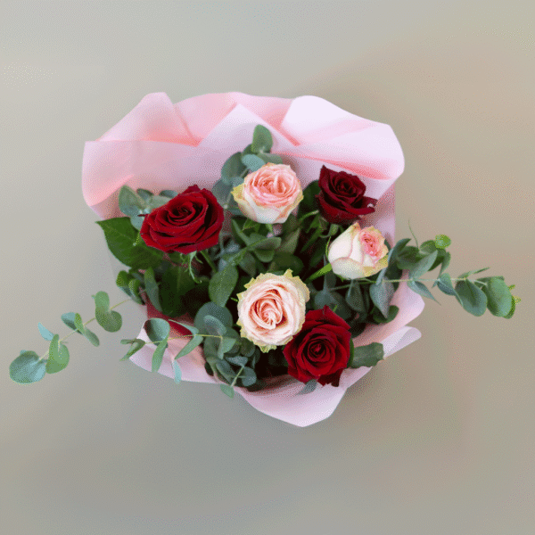 Blush & Bloom - Image 4