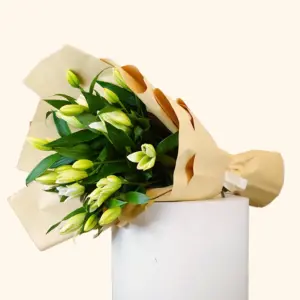 Whispering Lilies