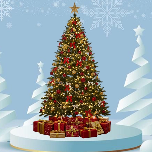 5ft Fresh Christmas Tree – With Stand