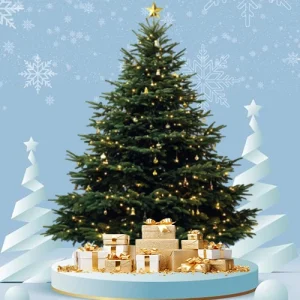 5–6ft Fresh  Christmas Tree – With Stand